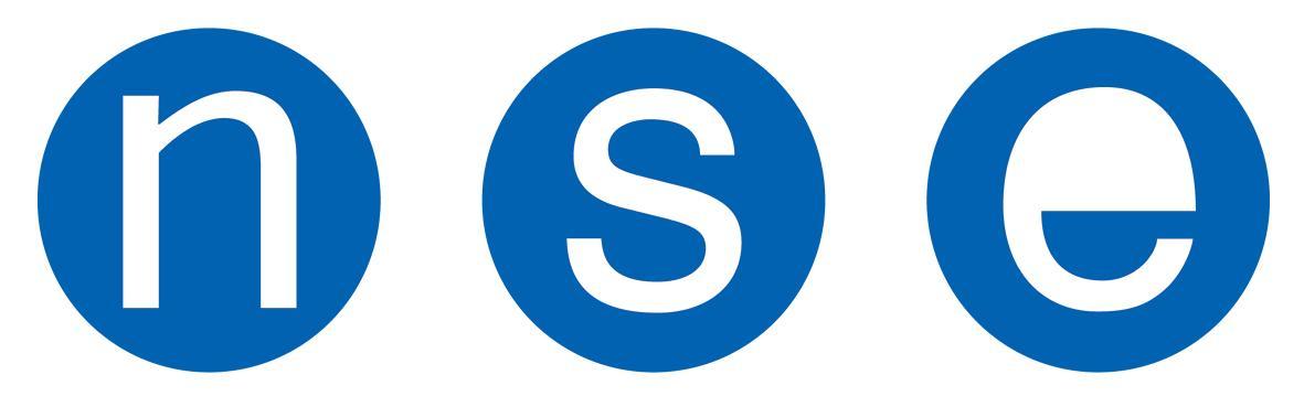 Logo nse bleu pantone 300