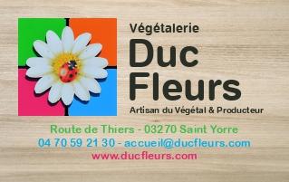 Duc fleurs styorre page 0001